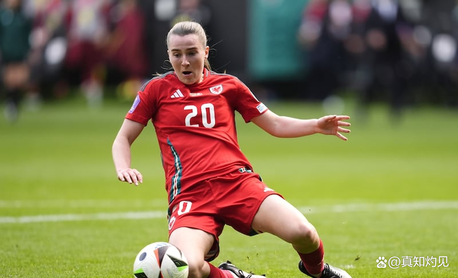 B体育登录入口-篮球欧锦赛:瑞典女队东道主失利无缘晋级的简单介绍