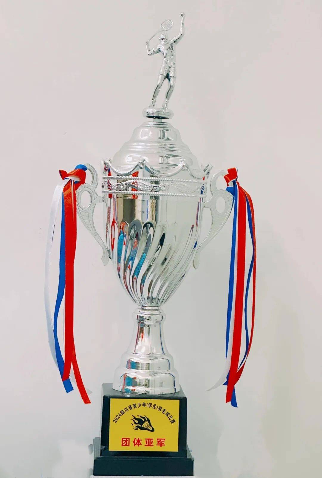 战绩辉煌,运动员勇夺锦标赛桂冠 战绩辉煌,运动员勇夺锦标赛桂冠